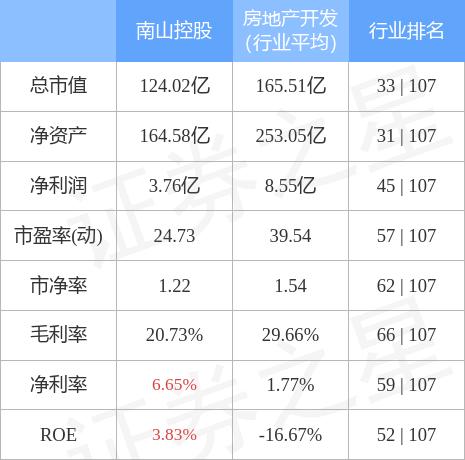 南山控股股票最新消息,南山控股股票最新消息深度解析