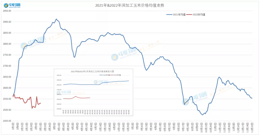 山东玉米今日最新价格行情,山东玉米今日最新价格行情分析