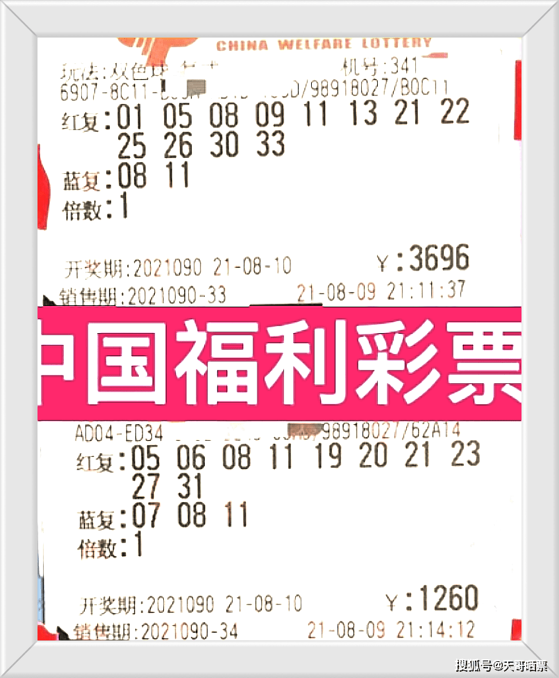 4949澳门今晚开奖结果,澳门今晚开奖结果揭晓，探索彩票背后的故事与期待