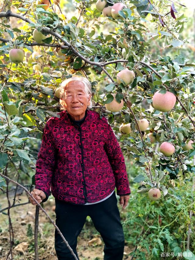 水果奶奶二论坛资料,水果奶奶二论坛资料分享与探讨