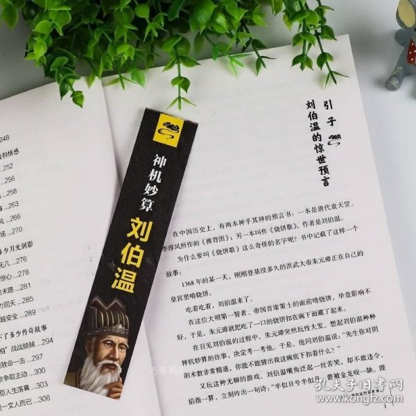 刘伯温一肖一码资料大公开,揭秘刘伯温一肖一码资料大公开，历史传奇与智慧解读