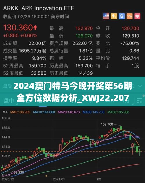 2025今晚特马开什么,关于今晚特马开什么的探讨与解析