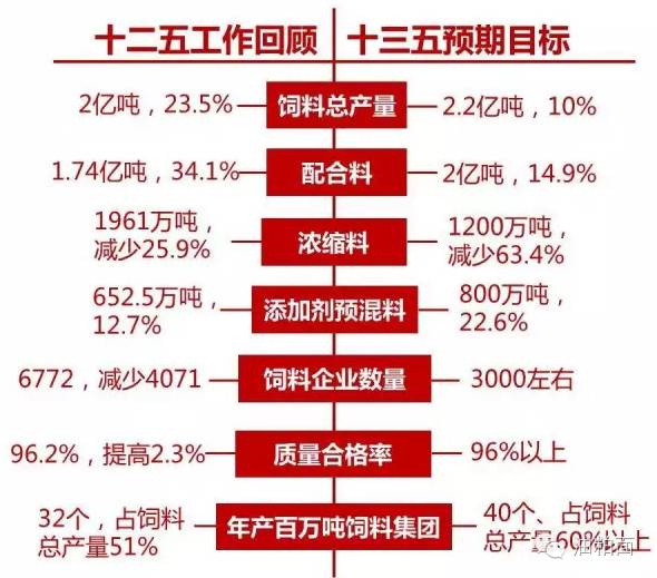 2025新澳天天彩资料免费提供,探索未来，2025新澳天天彩资料免费提供