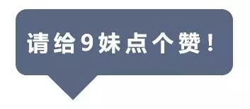 2025新奥门免费资料081期 29-07-10-48-23-31T：06,探索新澳门，2025年第081期免费资料解析与前瞻